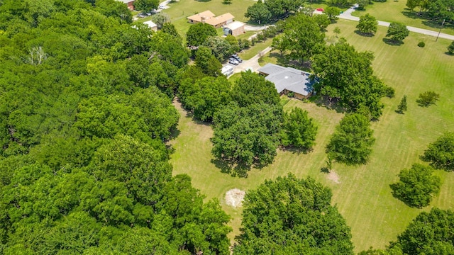 4645 Pecan Place Dr, Mckinney, TX 75071 - drone / aerial view