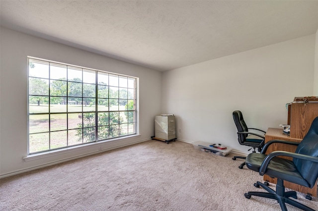 4645 Pecan Place Dr, Mckinney, TX 75071 - unfurnished office with carpet floors and plenty of natural light
