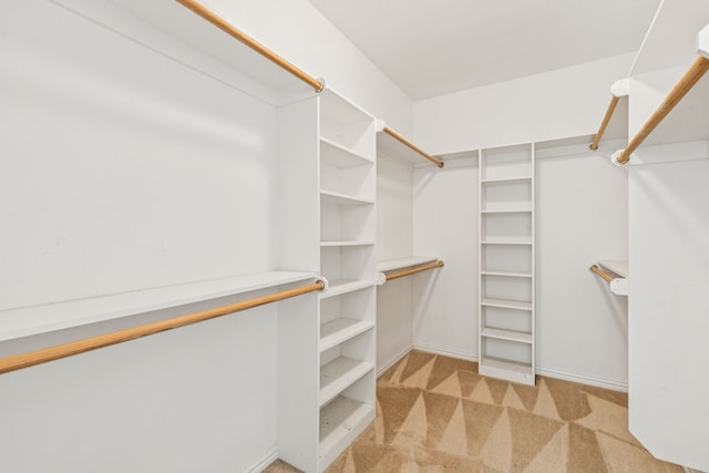 6602 Orange Blossom Dr, Midlothian, TX 76065 - spacious closet featuring light colored carpet