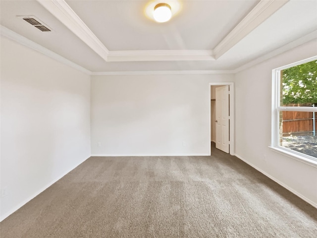 1409 Rivers Creek Ln, Little Elm, TX 75068 - empty room featuring a raised ceiling, carpet floors, and crown molding