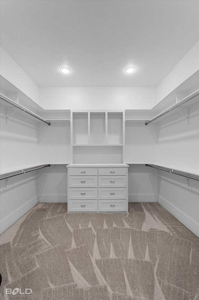 1030 Winterberry Ln, Shreveport, LA 71106 - spacious closet featuring light carpet