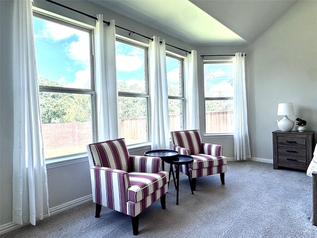 7204 Silent Mill Rd, Arlington, TX 76001 - living area featuring plenty of natural light and carpet