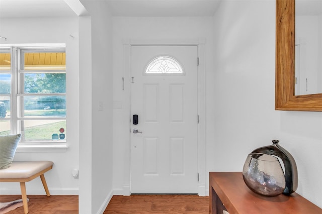 5624 Waltham Ave, Fort Worth, TX 76133 - foyer entrance featuring plenty of natural light and wood finished floors
