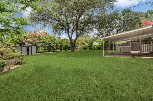 1712 Arbor Ln, Arlington, TX 76010 - view of yard with a storage shed and a patio
