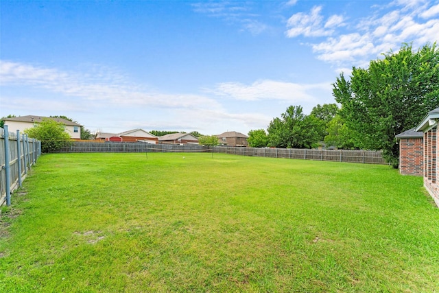 3227 Baskin Dr, Lancaster, TX 75134 - view of fenced backyard