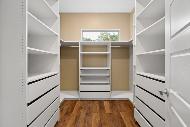 13313 Rembrandt Dr, Frisco, TX 75035 - spacious closet with dark wood-type flooring