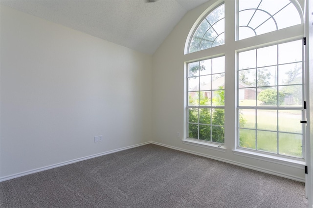 1526 Shadow Run, Weatherford, TX 76086 - empty room featuring dark carpet and vaulted ceiling