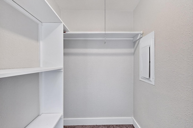5612 Meadow Nest Dr, Dallas, TX 75236 - spacious closet featuring electric panel and carpet