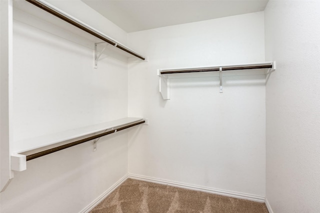 2111 Bentwater Ln, Frisco, TX 75036 - spacious closet with carpet floors