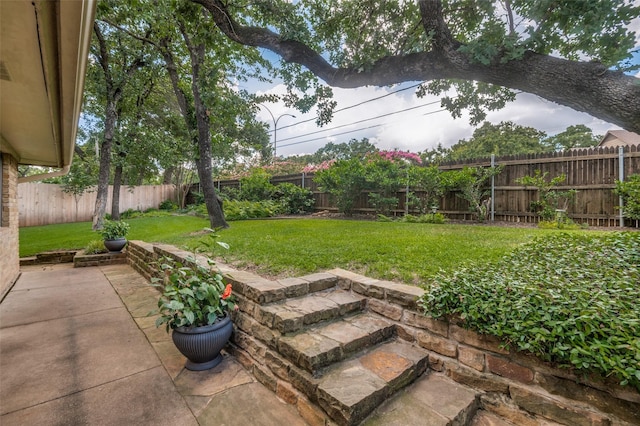 5205 Shady Springs Ct, Arlington, TX 76017 - fenced backyard featuring a patio area