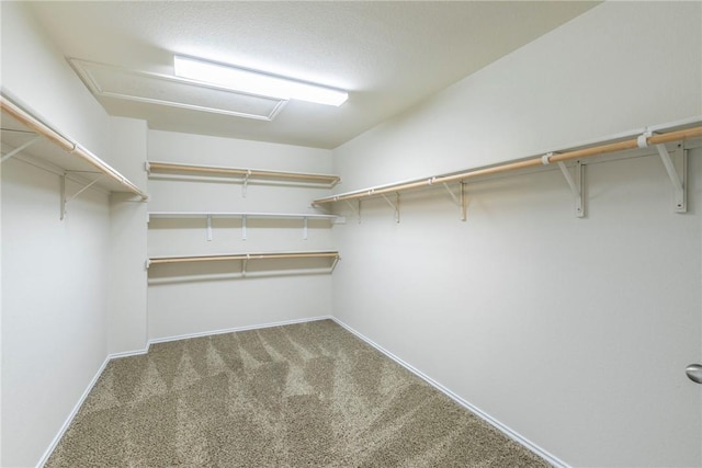 6600 Cascade Dr, Waco, TX 76712 - spacious closet featuring attic access and carpet flooring