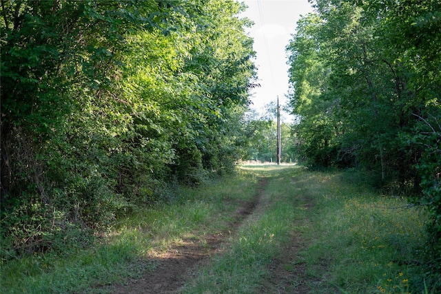 0000 County Road 379th Rd, Caldwell, TX 77836