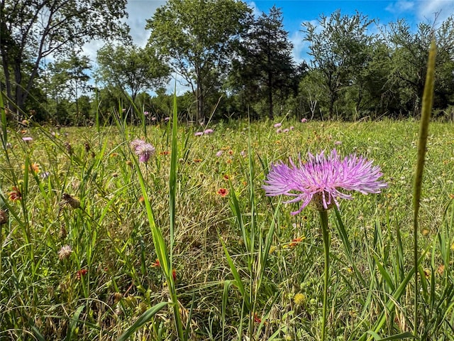 0000 County Road 379th Rd, Caldwell, TX 77836