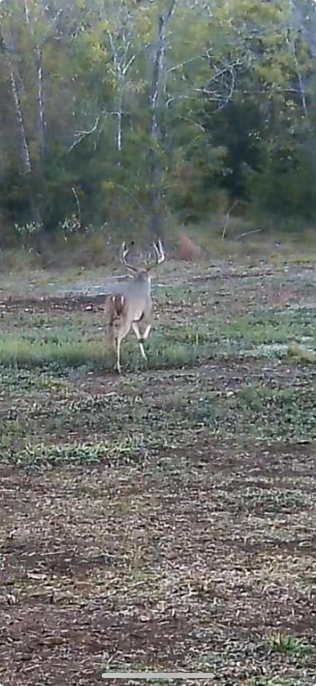 0000 County Road 379th Rd, Caldwell, TX 77836