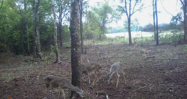 0000 County Road 379th Rd, Caldwell, TX 77836