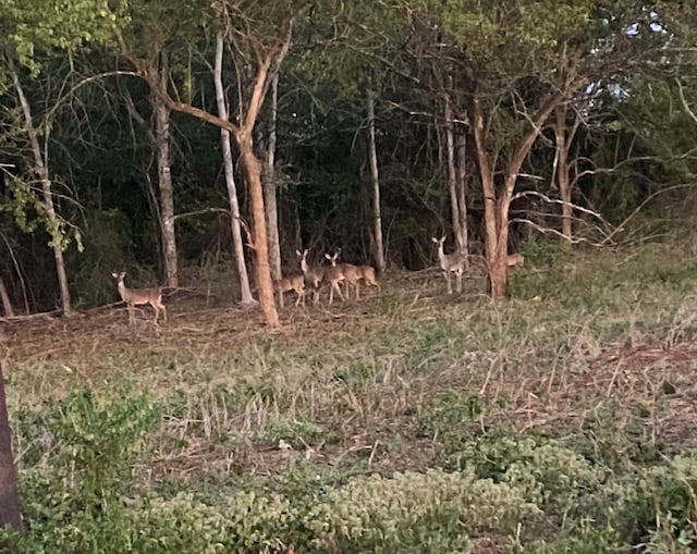 0000 County Road 379th Rd, Caldwell, TX 77836