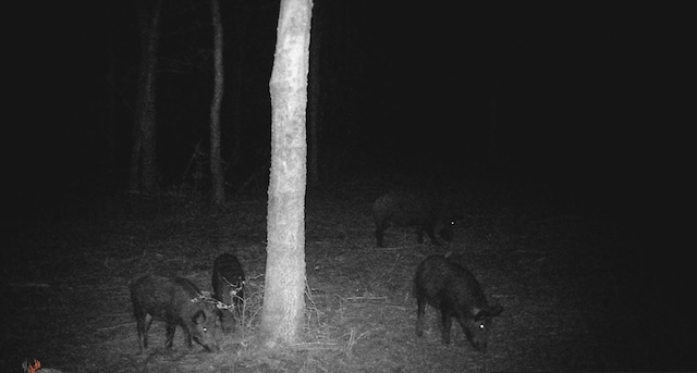 0000 County Road 379th Rd, Caldwell, TX 77836
