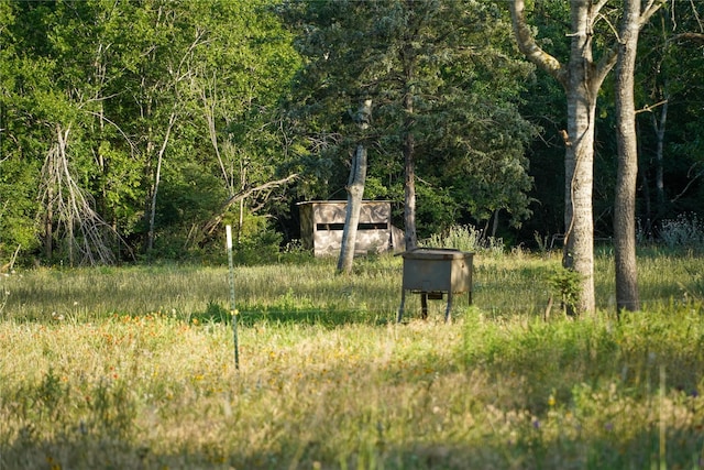 0000 County Road 379th Rd, Caldwell, TX 77836