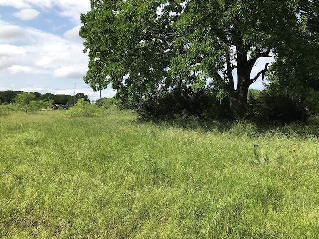 17061 Trailwood Dr, Whitney, TX 76692