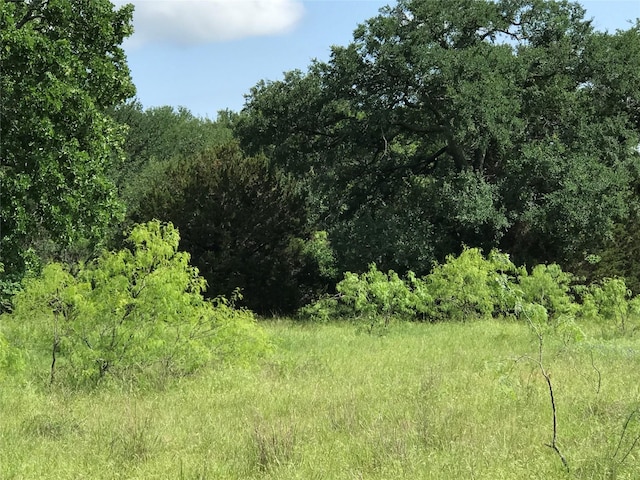 17061 Trailwood Dr, Whitney, TX 76692