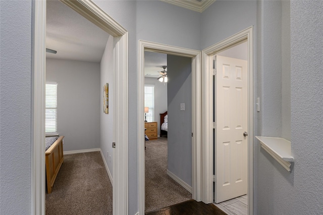 308 N 4th St, Gunter, TX 75058 - hall featuring a textured wall and carpet