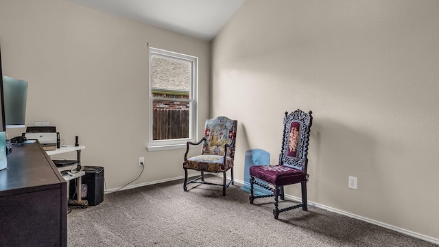 801 Lake Forest Trl, Little Elm, TX 75068 - carpeted office space with baseboards and vaulted ceiling