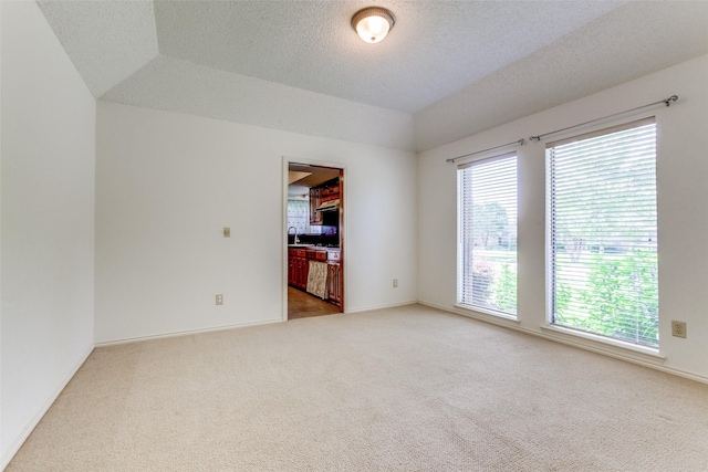 2307 Silver Holly Ln, Richardson, TX 75082 - unfurnished room with light carpet, vaulted ceiling, and a textured ceiling
