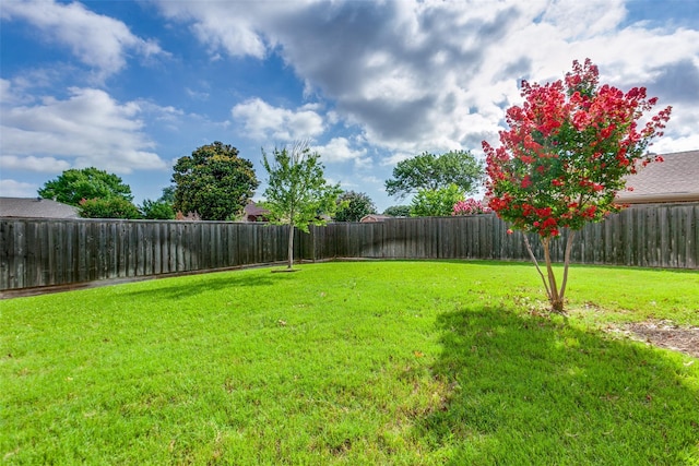 2307 Silver Holly Ln, Richardson, TX 75082 - view of fenced backyard