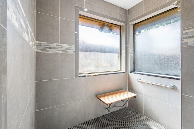 3948 Camino Dr, Plano, TX 75074 - bathroom featuring plenty of natural light