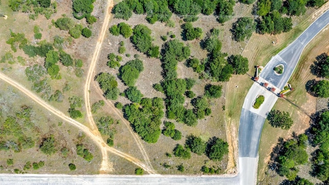 LOT2R Grand Harbor Blvd, Chico, TX 76431