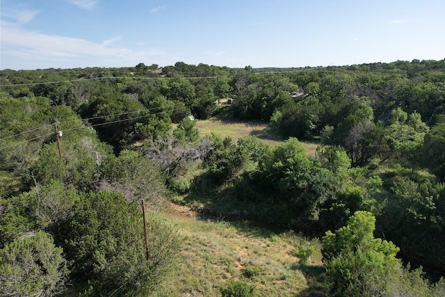 TBD County Rd 272, Tuscola, TX 79562