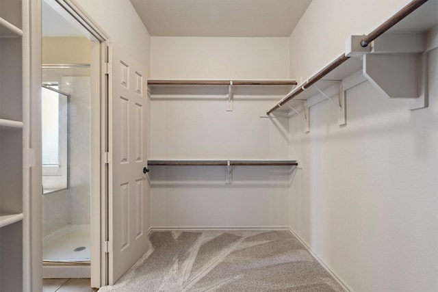 3228 Buckthorn Ln, Denton, TX 76226 - spacious closet with carpet flooring
