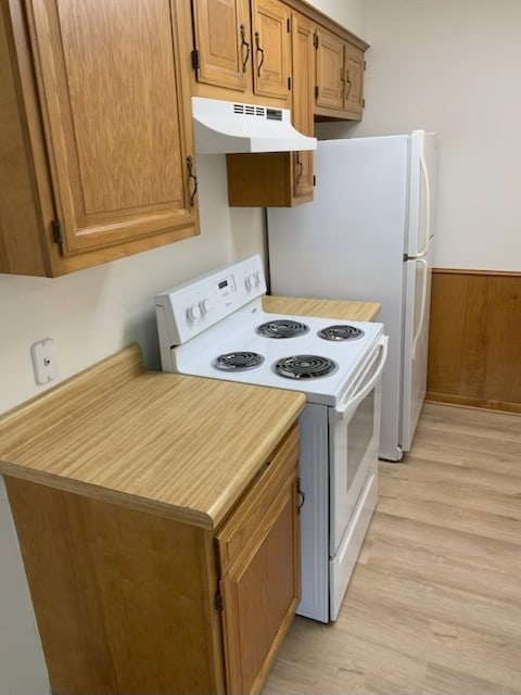 304 Lakeview St, Whitehouse, TX 75791 - kitchen with under cabinet range hood, electric stove, light wood-style flooring, light countertops, and a wainscoted wall