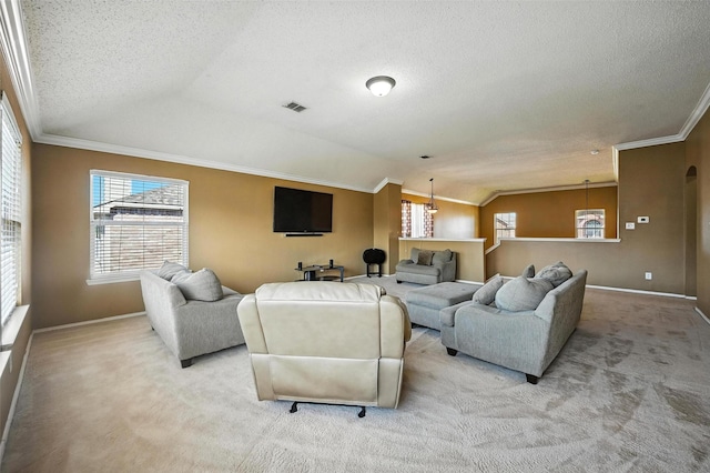 1906 Walnut Hills Ln, Mansfield, TX 76063 - living room with vaulted ceiling, light colored carpet, healthy amount of natural light, a textured ceiling, and ornamental molding
