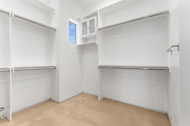 1505 N Haskell Ave Unit 5, Dallas, TX 75204 - spacious closet featuring light carpet