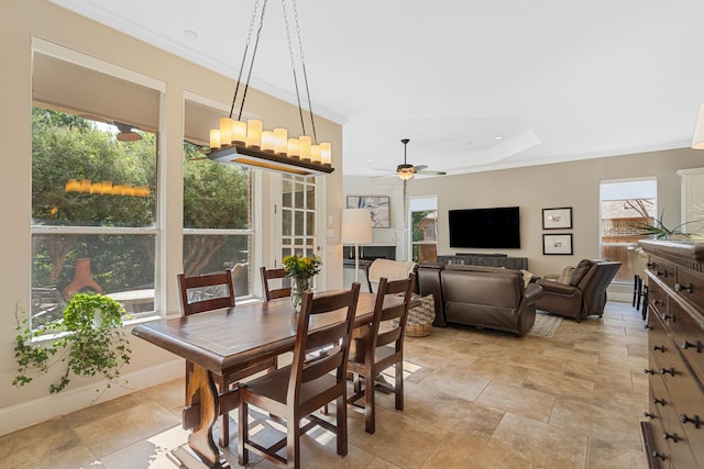 504 Rainforest Ln, Allen, TX 75013 - dining space featuring crown molding, a ceiling fan, and a raised ceiling