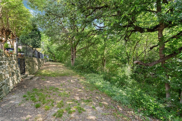 504 Rainforest Ln, Allen, TX 75013 - view of yard with a forest view