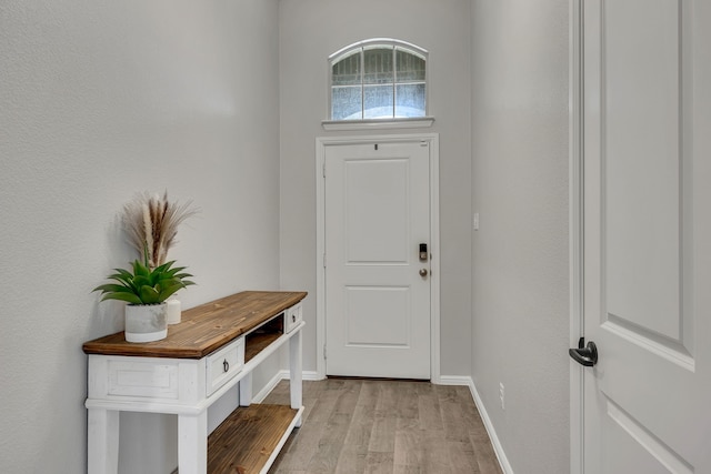 405 Houndstooth Dr, Fort Worth, TX 76131 - entrance foyer featuring light wood-style flooring and baseboards