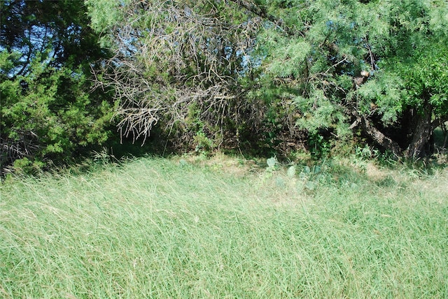 37014 Woodacre Ct, Whitney, TX 76692