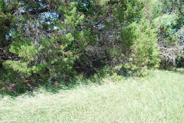 37014 Woodacre Ct, Whitney, TX 76692