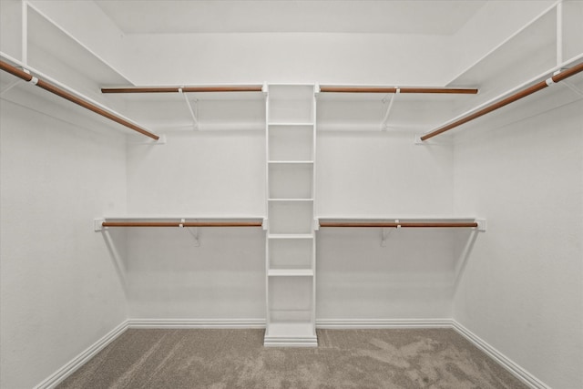 1036 E Oaklawn Dr, Talty, TX 75160 - walk in closet featuring carpet floors