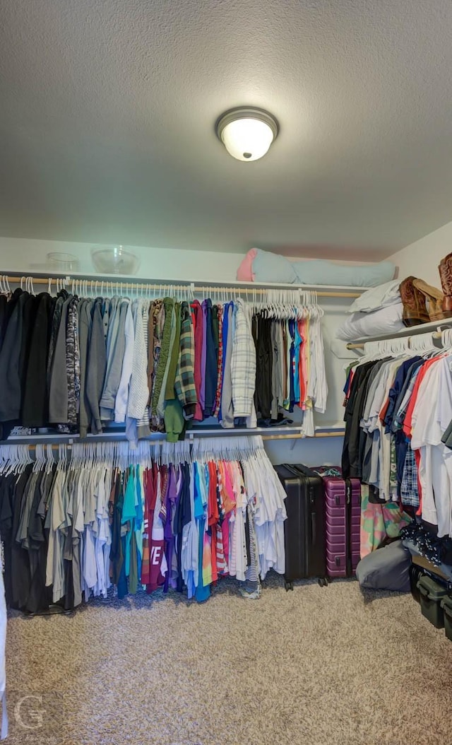 189 Bent Tree Loop, Haughton, LA 71037 - spacious closet with carpet flooring