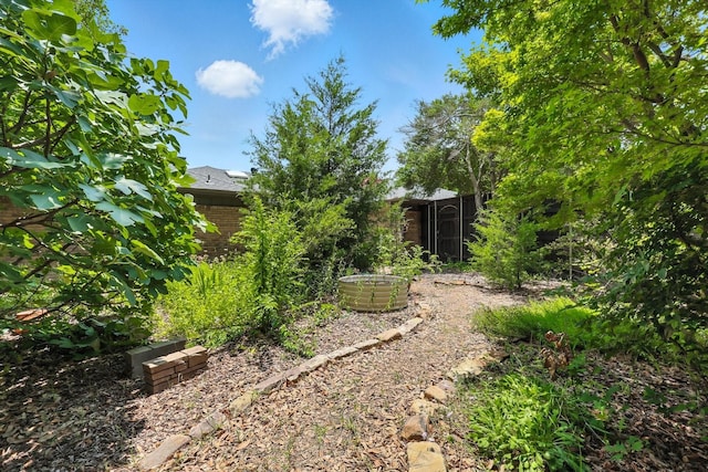 9901 Burnham Dr, Dallas, TX 75243 - view of yard
