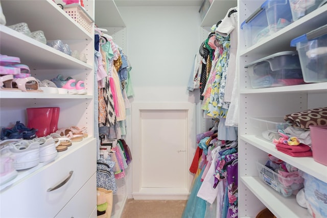 6956 Meadowbriar Ln, Dallas, TX 75230 - view of spacious closet
