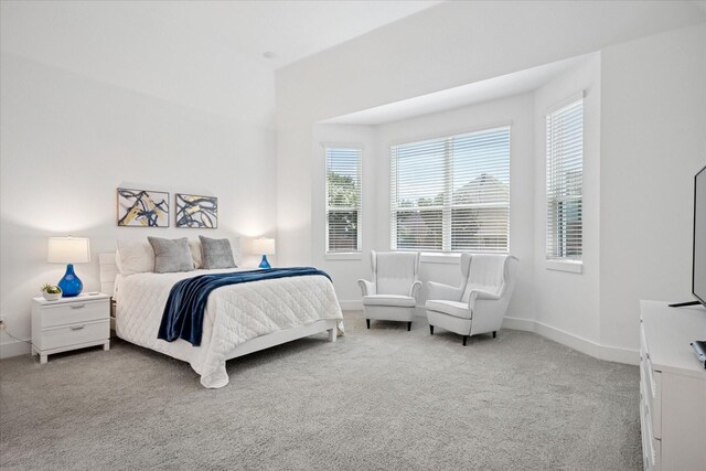 8305 Caballo Dr, North Richland Hills, TX 76182 - bedroom featuring carpet floors and multiple windows