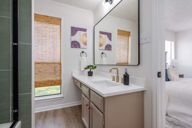 2508 Independence Dr, Mesquite, TX 75150 - ensuite bathroom featuring vanity, wood finished floors, a textured ceiling, and crown molding