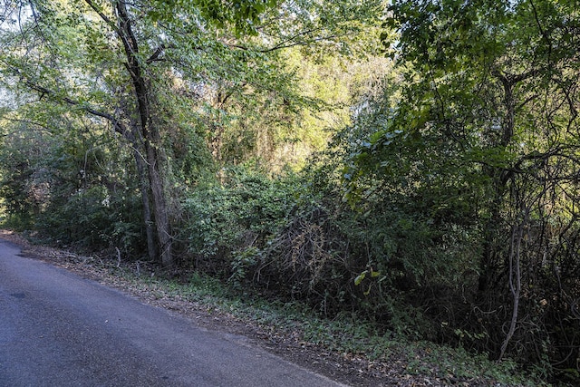 000 Lisa Layne St, Gun Barrel City, TX 75156