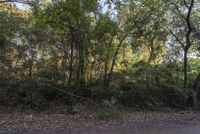 000 Lisa Layne St, Gun Barrel City, TX 75156