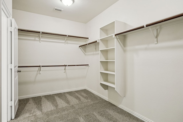 1012 Rising Moon Dr, Fort Worth, TX 76052 - spacious closet with carpet