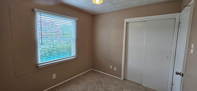 1747 Lucille Dr, Mesquite, TX 75149 - unfurnished bedroom with multiple windows, a closet, light carpet, and ornamental molding